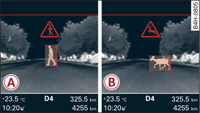 Instrumentenpaneel: -A- Voetgangerswaarschuwing, -B- Wildwaarschuwing